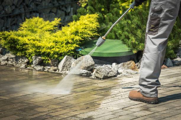 Best Soft Washing  in Lakeland North, WA